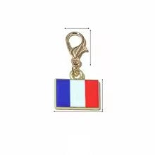 Charm bandera Francia